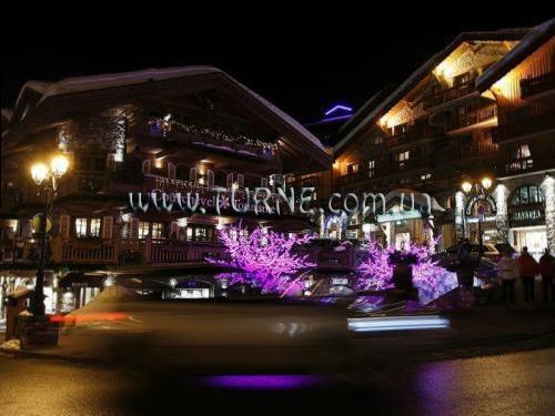 Панорама Residence Premium Les Chalets Du Forum 4*