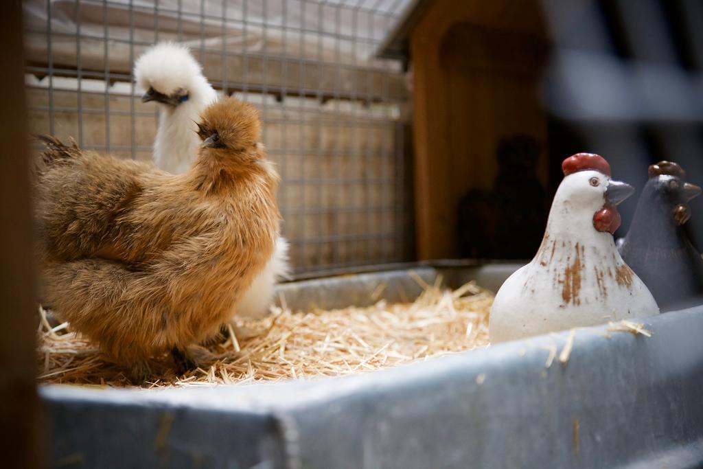 Вид Coq Hotel Paris 4*