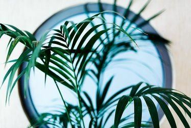 Территория The Athens Mirabello 3*