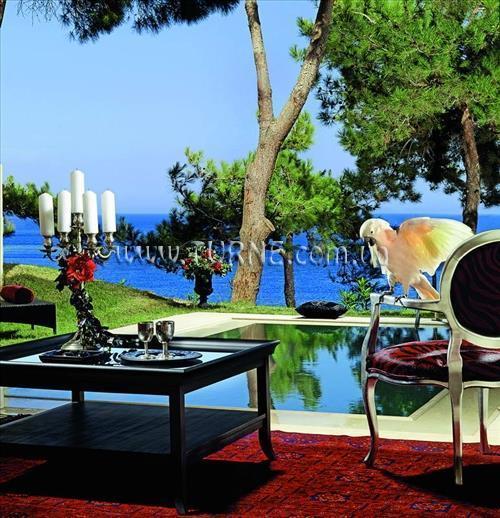 Картинка Capsis Thalassa 5*