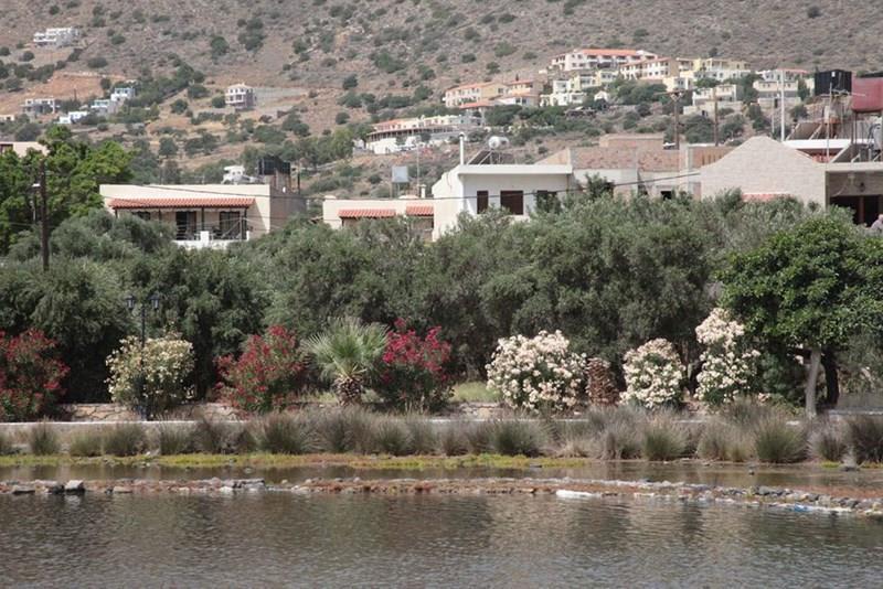 Апартаменты Elounda Olive Garden Apts & Studios 3*