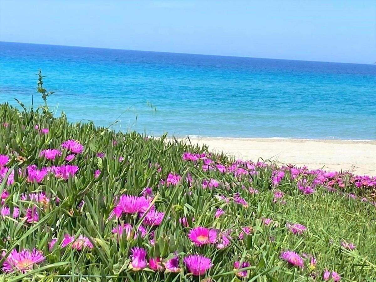 Фотография Palma Village by Greek Pride Hotels 4*