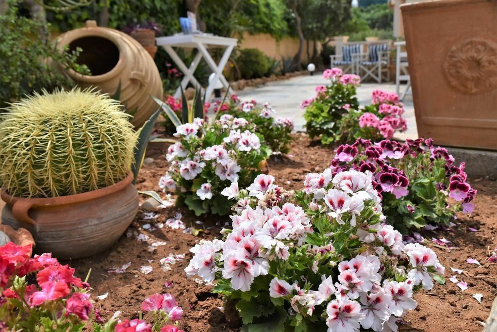 Панорама Golden Bay Studios 3*