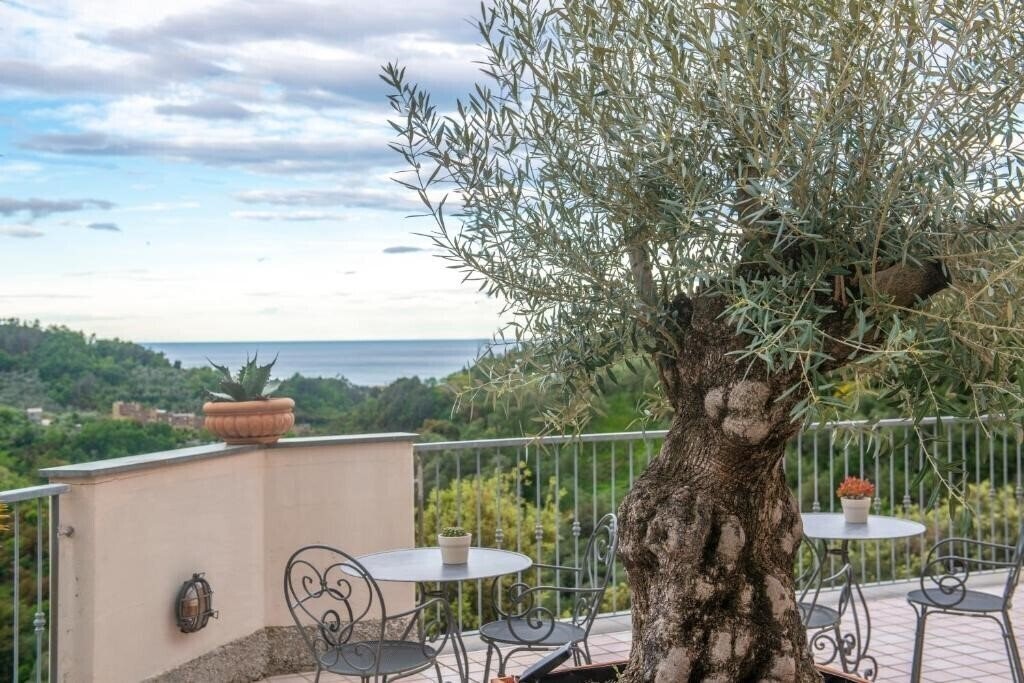 Вид Al Terra Di Mare 4*