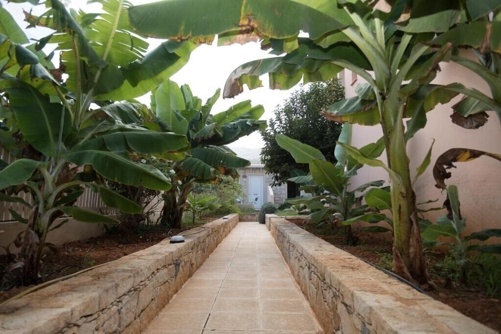 Територія Sunset Studios & Apartments 4*