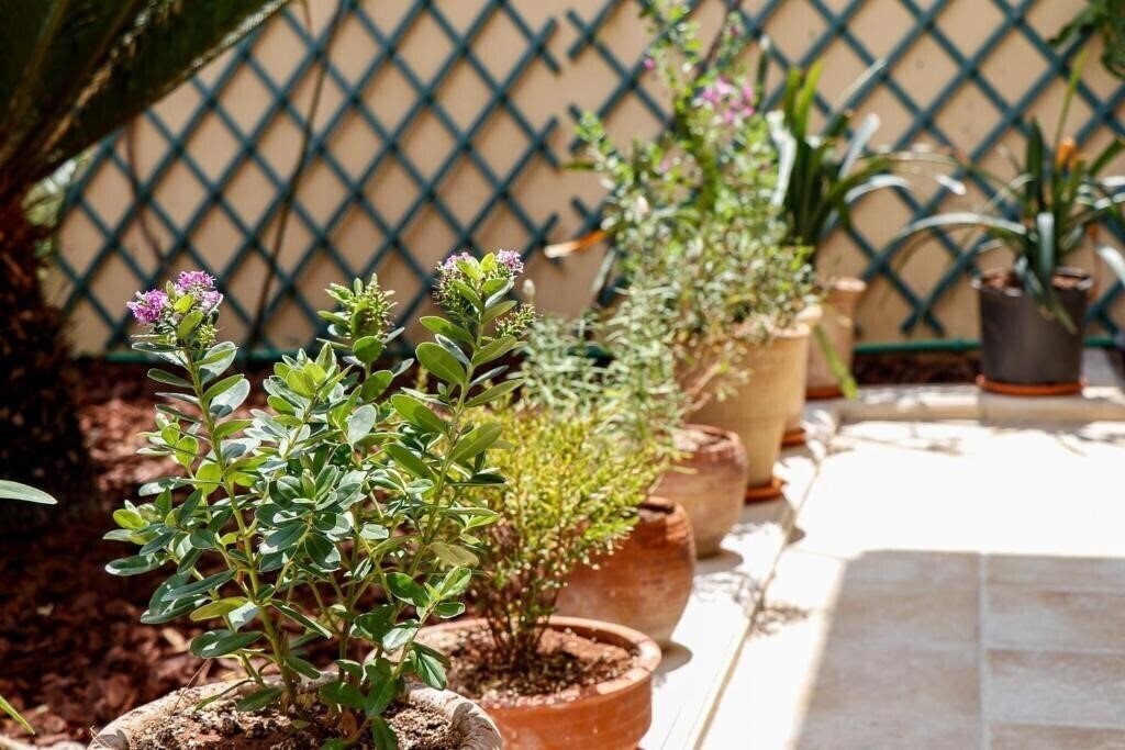 Панорама Terpsis Lodge 4*