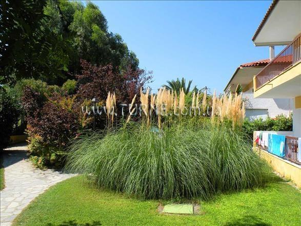 Территория Ioli Apartments Fourka Beach 2*