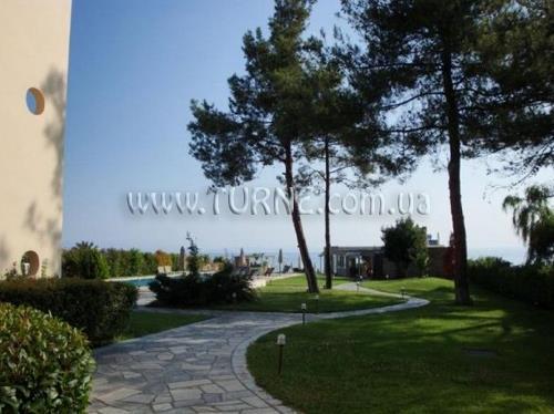 Вид Paradise Hotel 3*