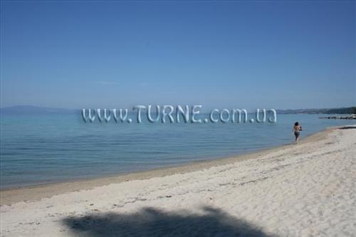 Территория Forest Park Hotel 3*