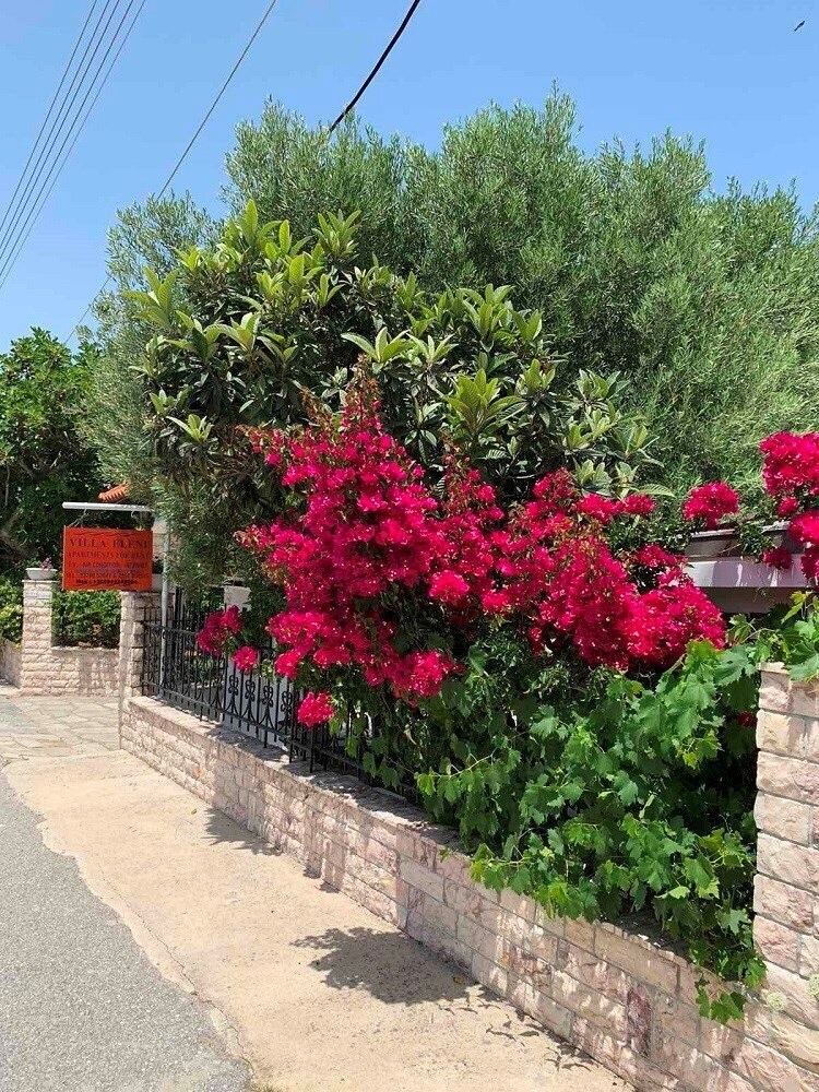 Вид Villa Eleni Polichrono Apartments апартаменты