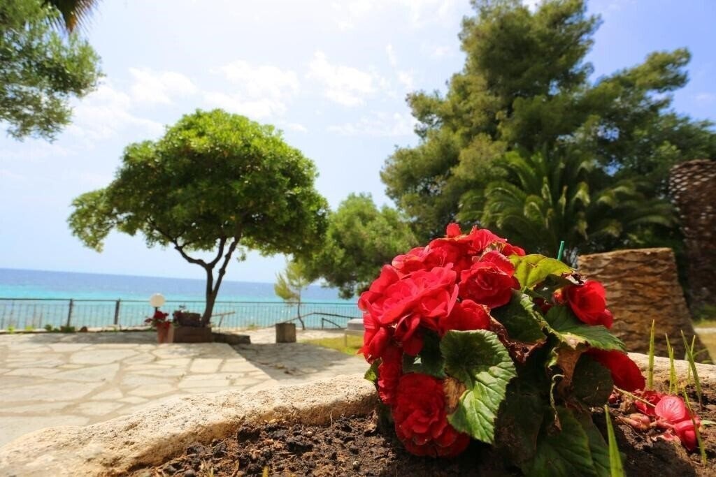 Панорама Maison La Mer Apartments апартаменты