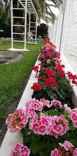 Фото Tasos Resort Apartments Apt апартаменты