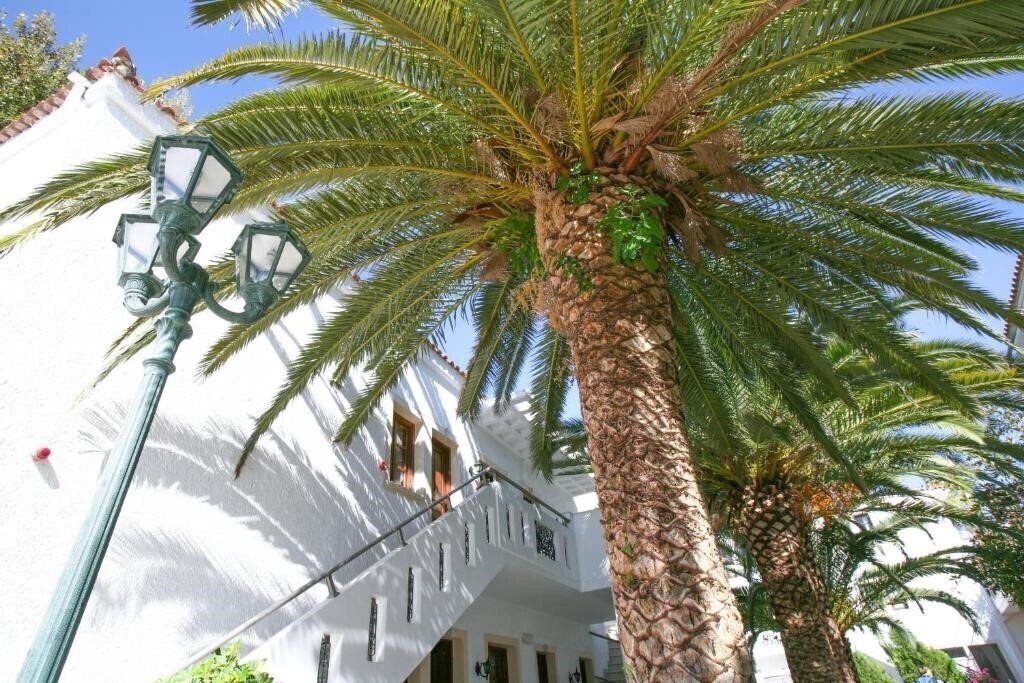 Панорама Flamingos Hotel 3*