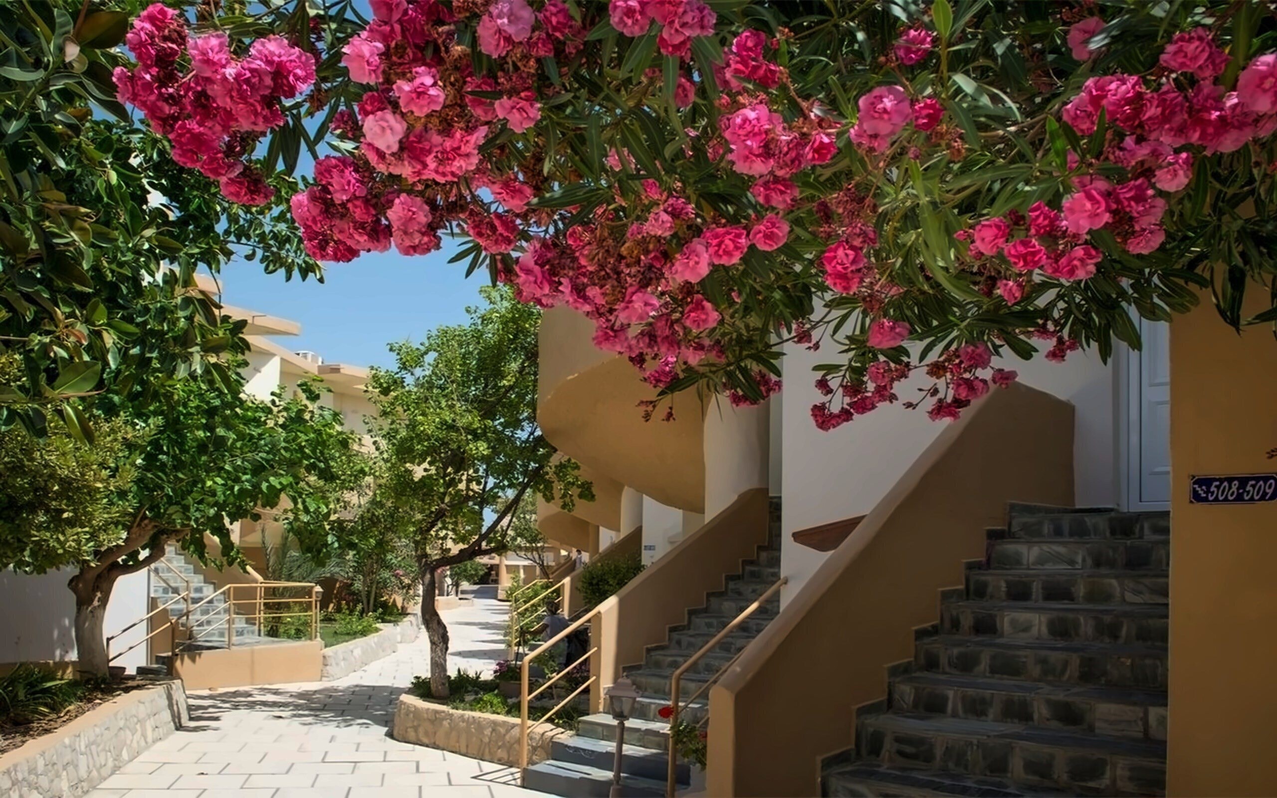 Фотография Kavros Resort 3*