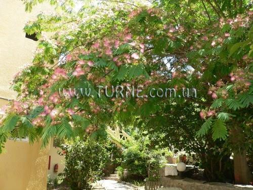 Апартаменти Elpida Hotel & Apartments 3*