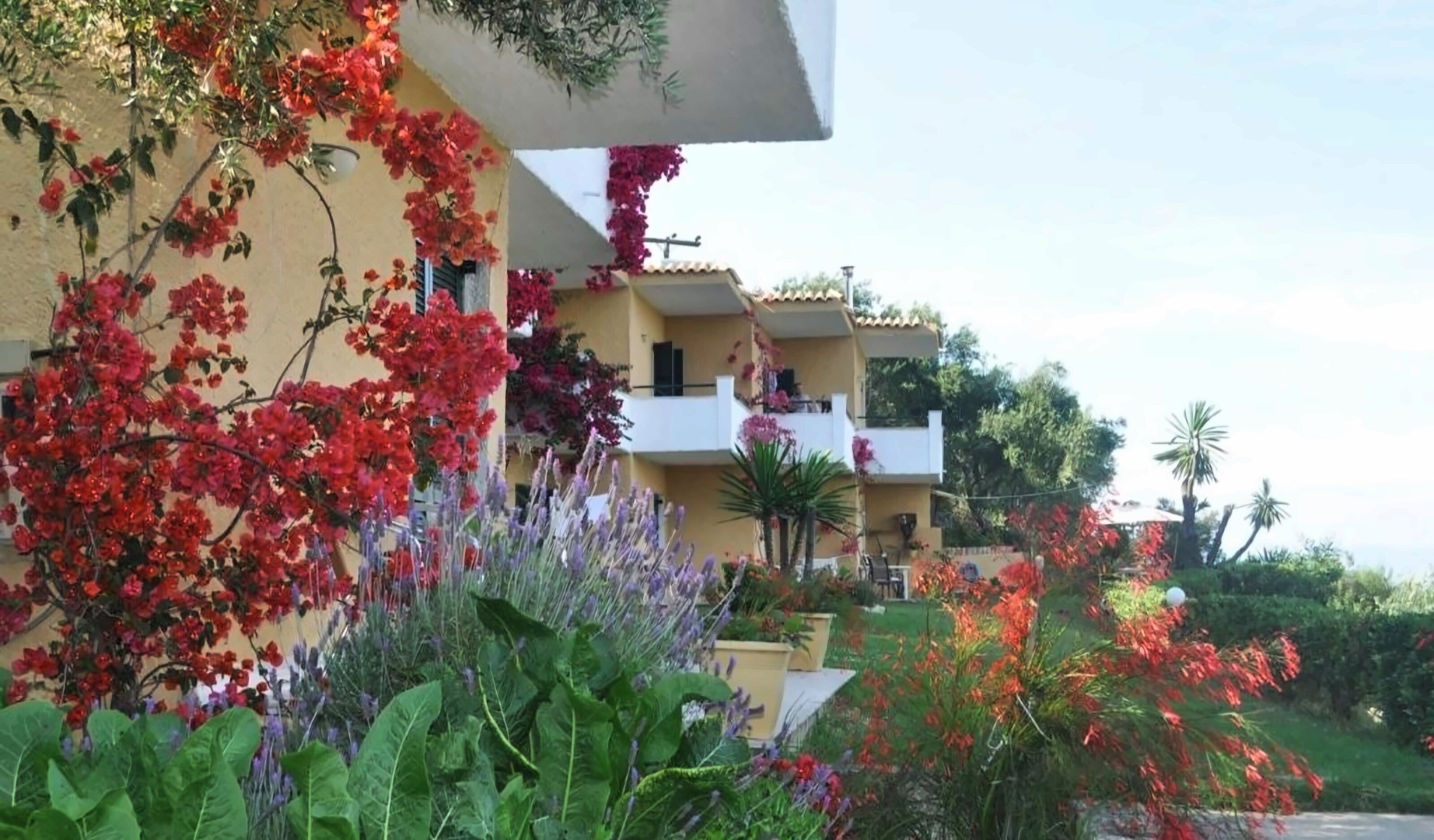 Вид Ionian View 2*