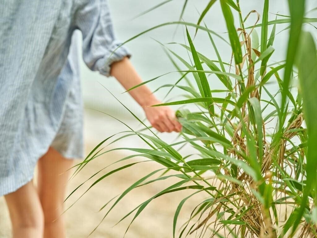 Апартаменти Avali, Mar-Bella Collection 5*