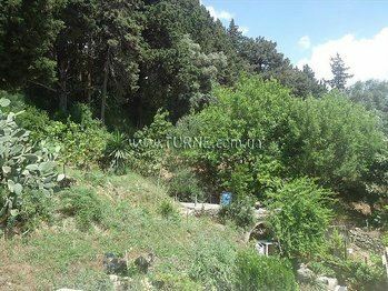 Апартаменти Meltemi Apartments апартаменты