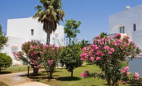 Територія Summer Village Marmari 3*