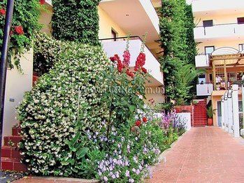 Територія Zephiros Beach Hotel 4*