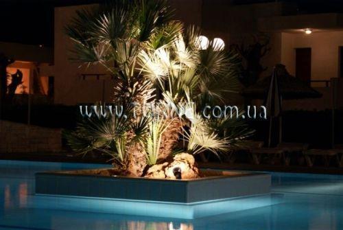 Изображение Smartline Kyknos Beach Hotel & Bungalows 4*