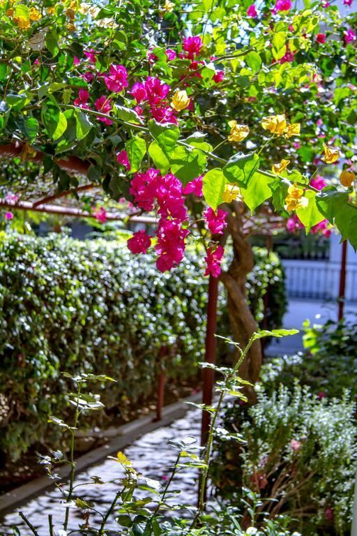 Фото Studios Lyda 3*