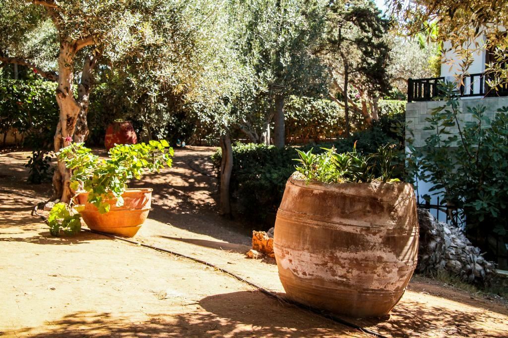 Фотографія Studios Lyda 3*