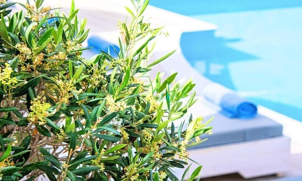 Панорама Elounda Garden Suites 3*