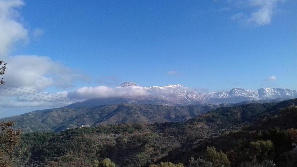 Вид Zorbas Apartments 2*