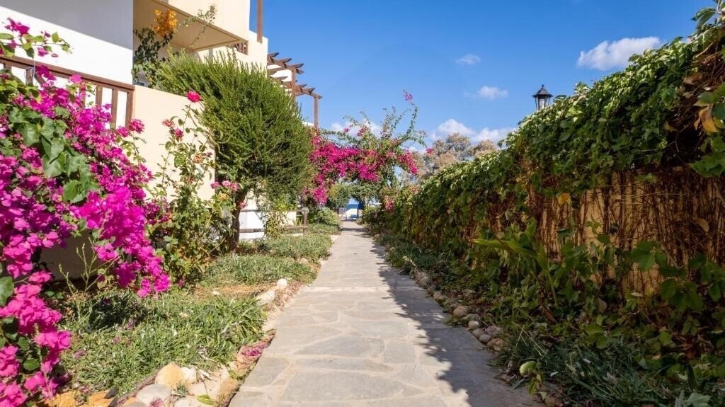 Вид Dedalos Beach Hotel 3*