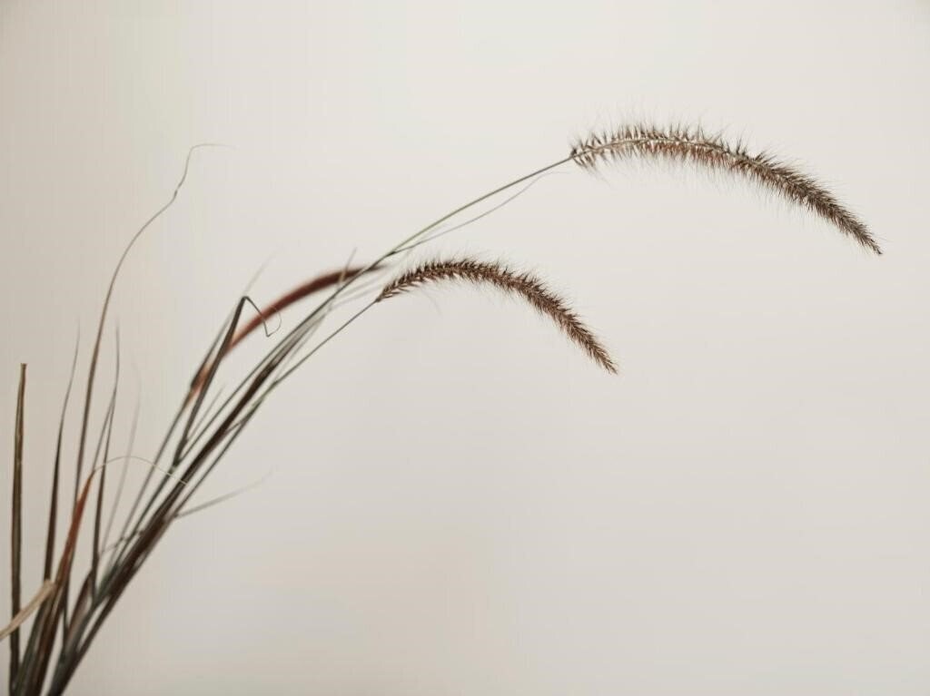 Територія Ezio Bo Luxury Living 3*