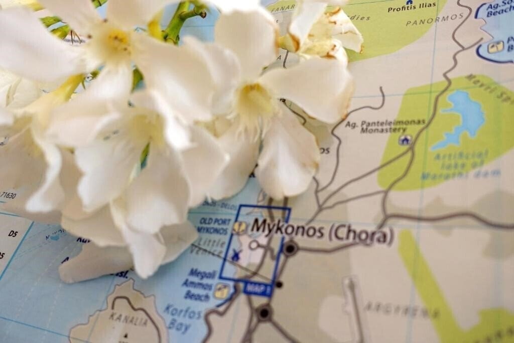 Вид Le COQ Apartments 3*