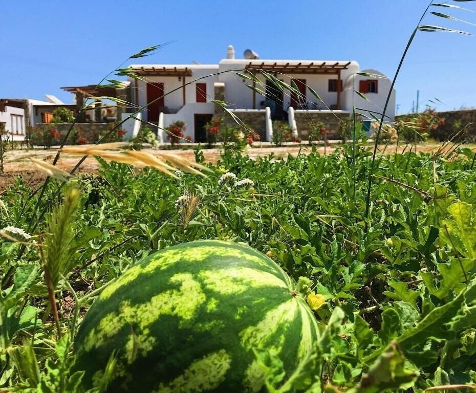 Панорама Myconian Brothers 3*