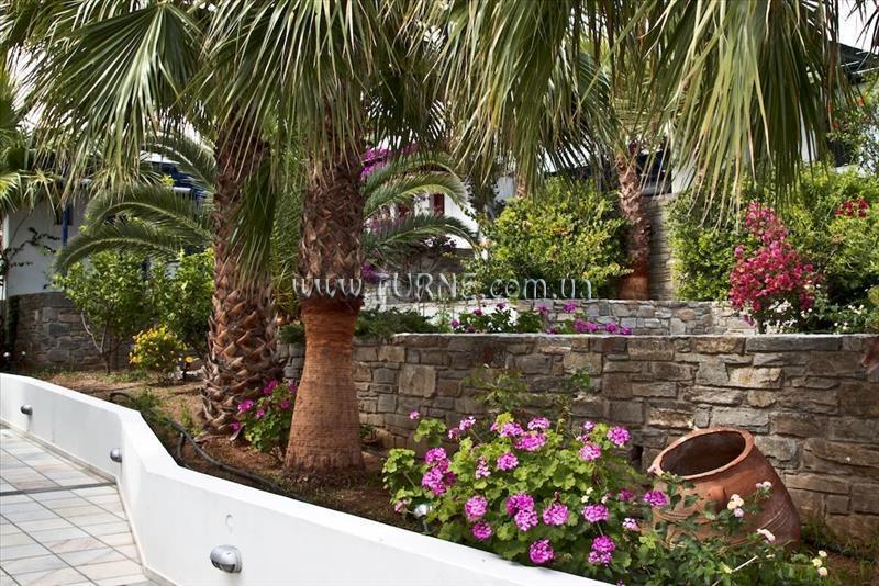 Вид Aks Chroma Paros 3*