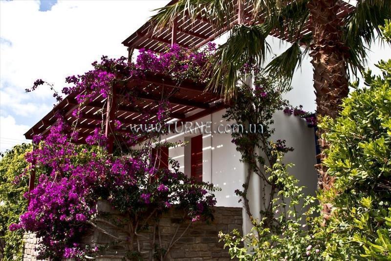 Картинка Aks Chroma Paros 3*