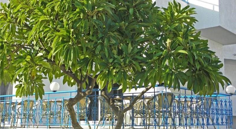 Територія Summer Breeze 3*