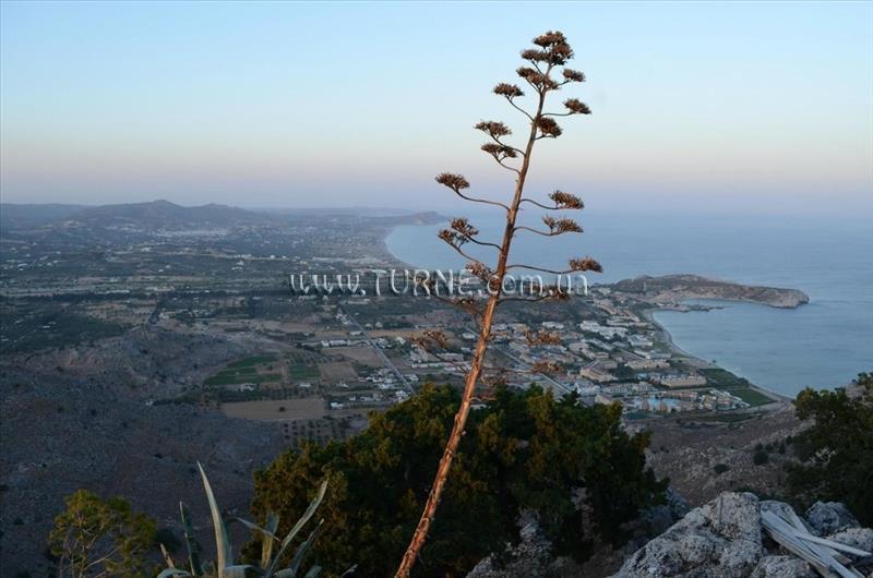 Територія 12 Villas Apts 4*