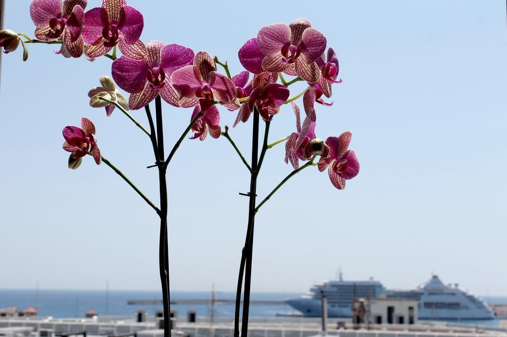 Вид Savoy Rodos Town 2*