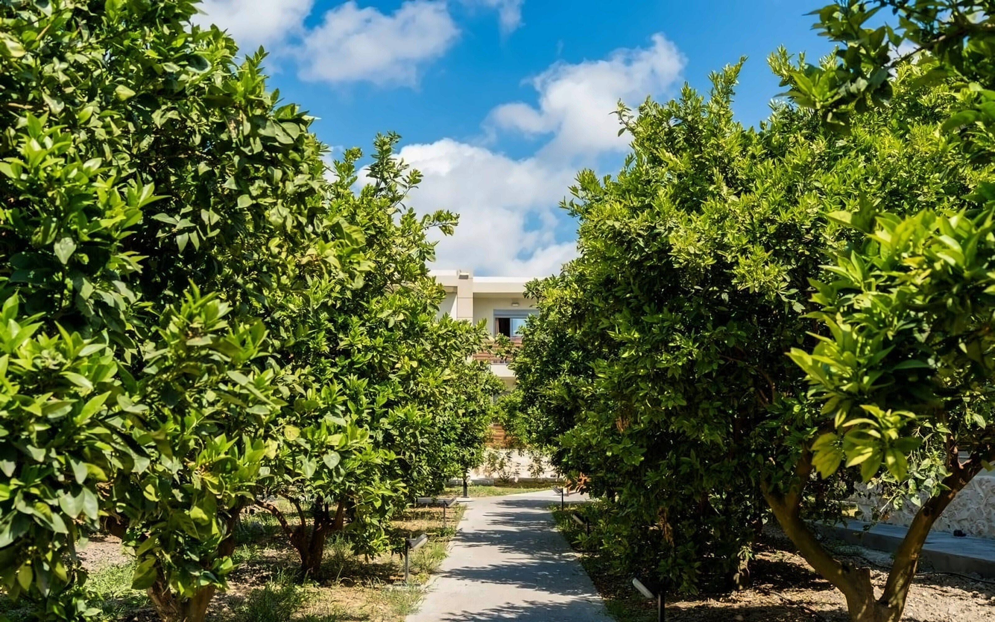 Панорама Ilyssion Resort 3*