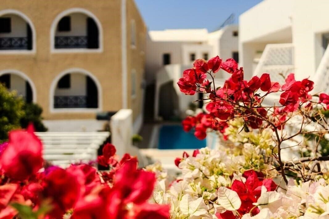 Картинка Anthea Villas (ex. Villa Vergina) 3*