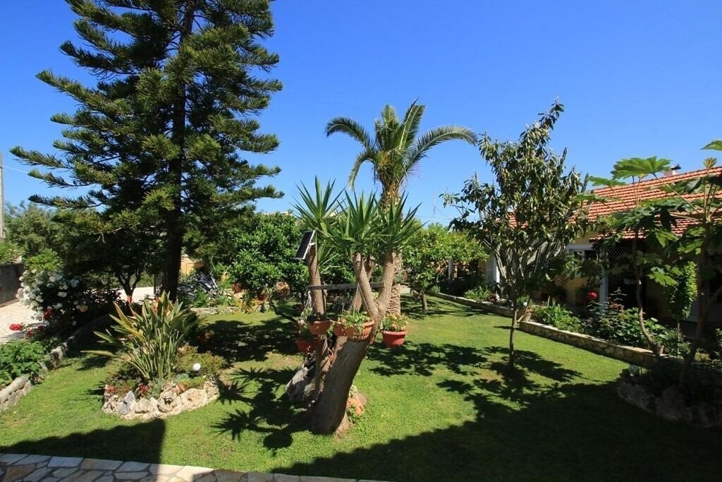 Панорама Alex Studios 2*