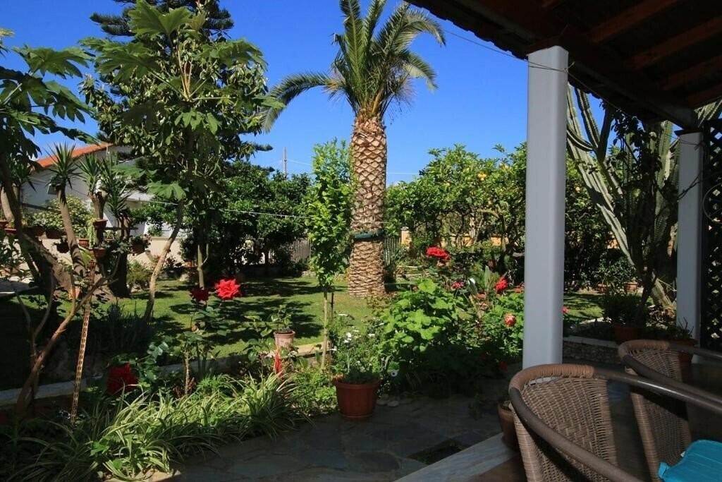 Вид Alex Studios 2*