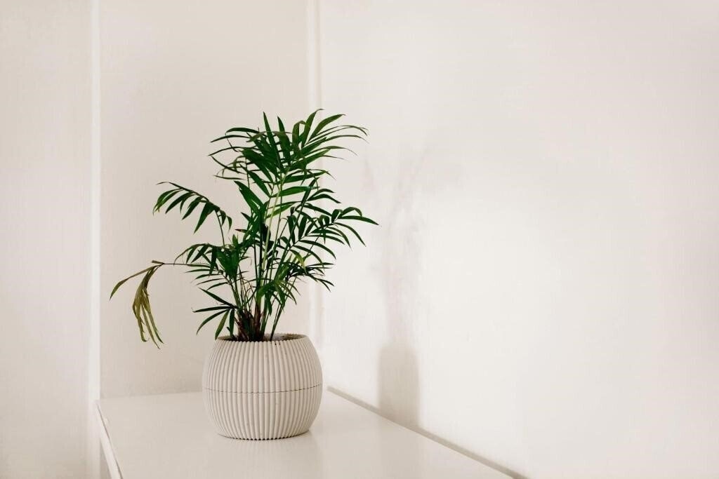 Панорама Eleni'S Garden 3*