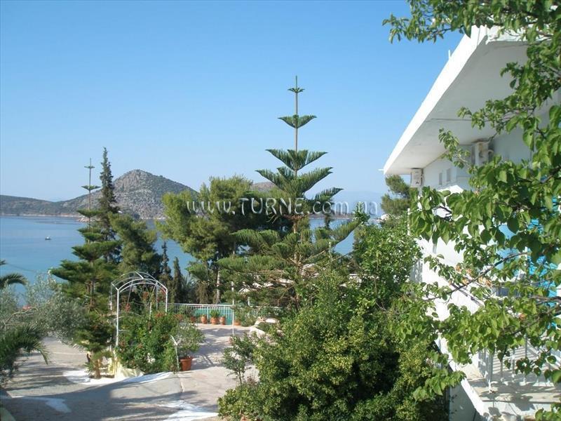 Зображення Tolon Beach Hotel (ex. Barbouna) 2*