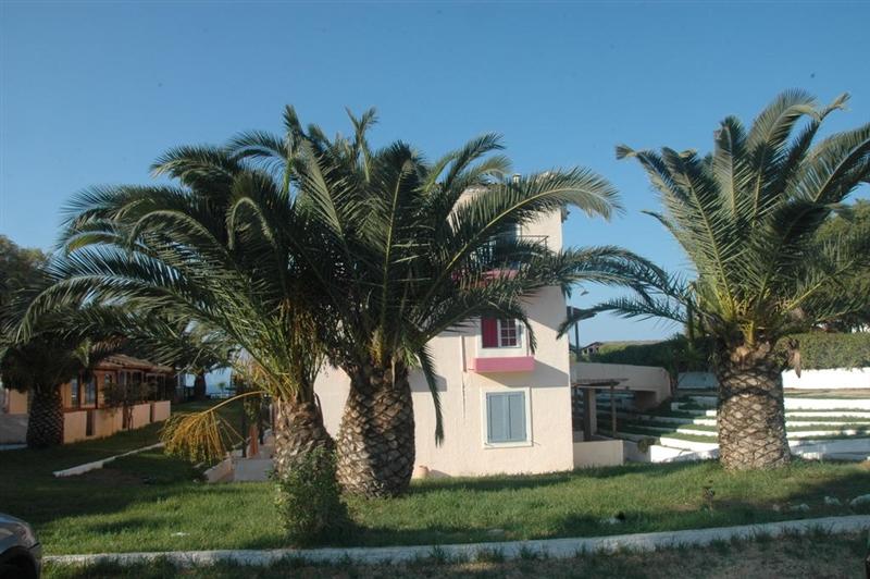 Картинка Koralli Beach 3*