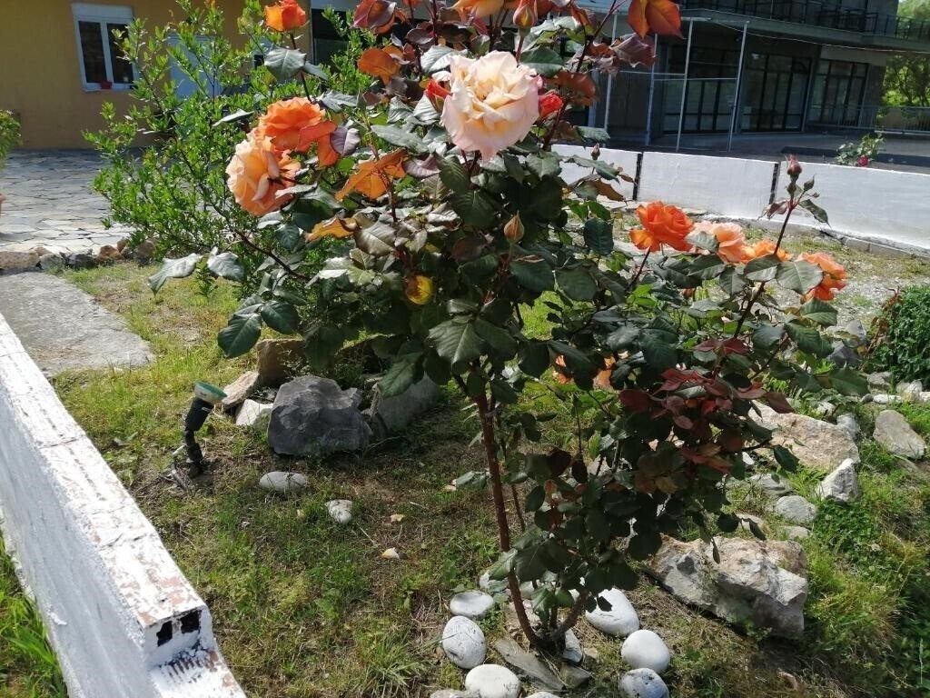 Территория Christos Apartments 3*