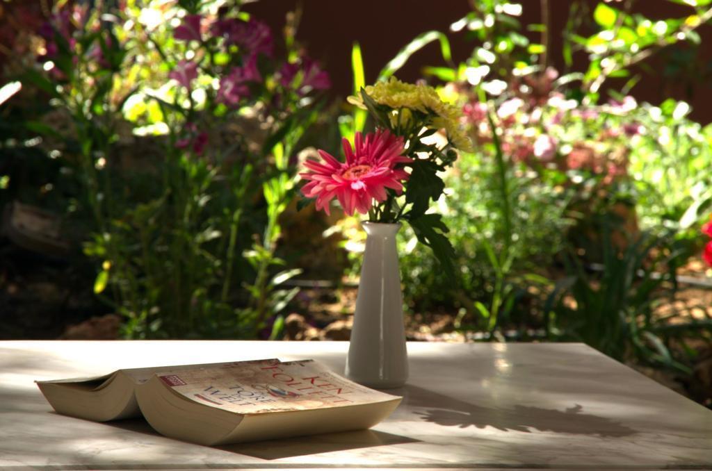 Територія Minos 4*