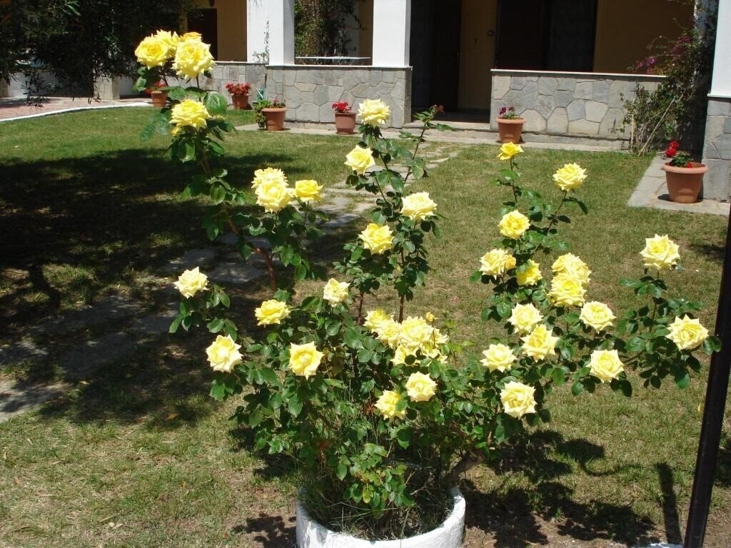 Апартаменти Asteris Village 3*