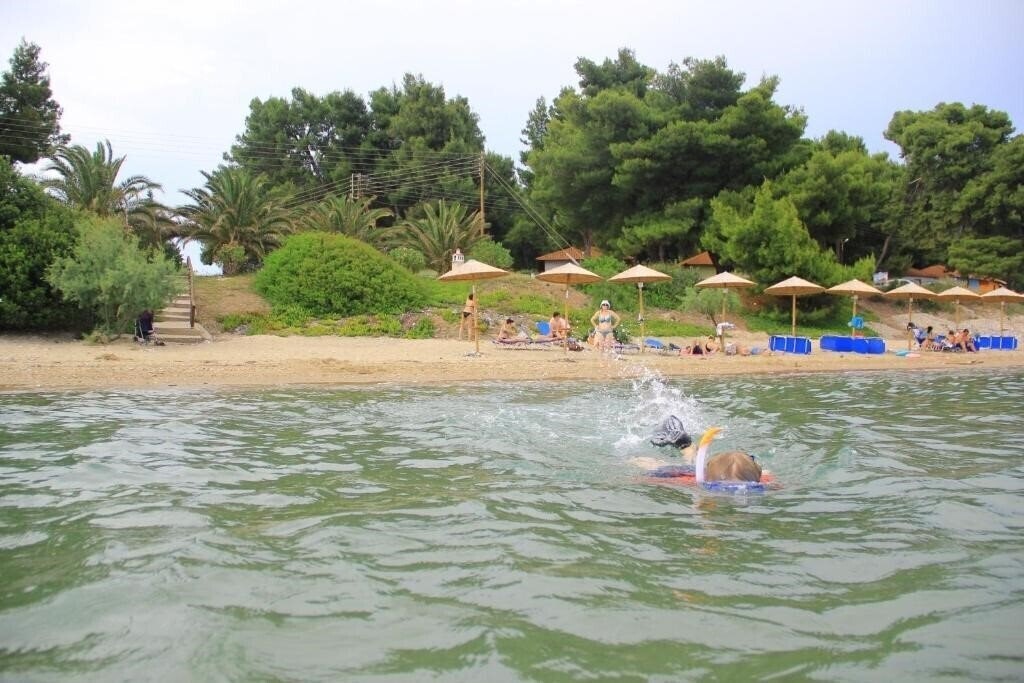 Зображення Olympic Bibis Hotel 2*