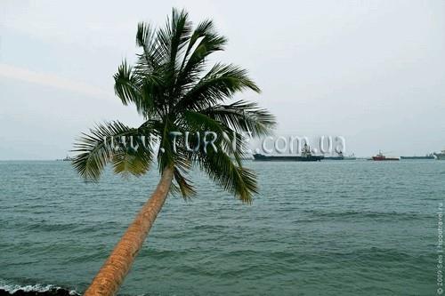 Территория Palma 2*